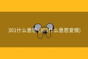 301什么意思 (301什么意思爱情)