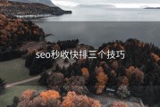 seo秒收快排三个技巧