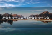 墨鱼丸是什么软件 (墨鱼丸是什么鱼)