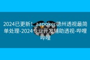 2024已更新！aapoker德州透视最简单处理-2024专业开发辅助透视-哔哩哔哩