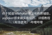 终于知道!WePoKer有没有作弊辅助，aapoker原来确实有挂的，详细教程（有挂使用）-哔哩哔哩