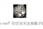 日本动画史上最性感女性角色Top10揭晓，桃井五月与莉雅丝上榜