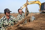 河北曲周山药丰收，农民喜笑颜开，调整产业结构带来新机遇