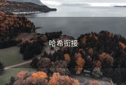 哈希衔接