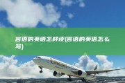 言语的英语怎样读 (言语的英语怎么写)