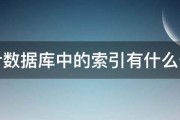 网页索引是什么 (网站索引)