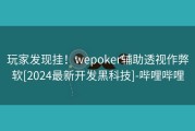 玩家发现挂！wepoker辅助透视作弊软[2024最新开发黑科技]-哔哩哔哩
