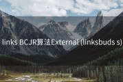 links BCJR算法External (linksbuds s)