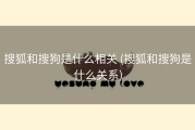 搜狐和搜狗是什么相关 (搜狐和搜狗是什么关系)