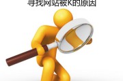网站权重和PR值的各代表什么含意 (网站权重和收录量的关系)