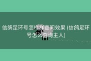 信鸽足环号怎样样查问效果 (信鸽足环号怎么查询主人)