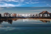 猎头必看！各招聘渠道优劣分享 (猎头gm)