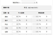工资计算器怎样做 (工资计算器怎么做表格的)