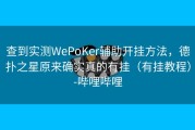 查到实测WePoKer辅助开挂方法，德扑之星原来确实真的有挂（有挂教程）-哔哩哔哩