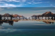 非快排 seo外包公司有什么暗藏技艺 ?