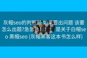 灰帽seo的判断题 如果要出问题 该要怎么出题?急急急！！！ 是关于白帽seo 黑帽seo (灰帽黑客这本书怎么样)