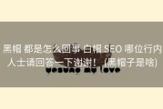 黑帽 都是怎么回事 白帽 SEO 哪位行内人士请回答一下谢谢！ (黑帽子是啥)