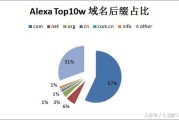 解析域名分类及其对 SEO 的影响