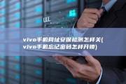 vivo手机网址安保检测怎样关 (vivo手机忘记密码怎样开锁)
