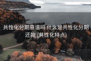 共性化分期靠谱吗 什么是共性化分期还款 (共性化特点)