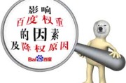 权重是什么意思 权重的计算公式是什么 怎样算 (权重是什么意思)