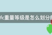ufc跟mma有没有区别 区别在哪