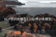 NLP预训练模型2 (nlp预训练模型)