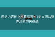 网站内容树立战略有哪些 (树立网站整体形象的关键是)