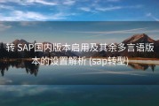转 SAP国内版本启用及其余多言语版本的设置解析 (sap转型)