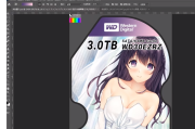 图吧老手搓周边：硬盘二次元贴纸 DIY 与冷数据备份盘的那些事