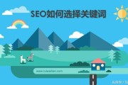 seo刷排名软件 seo是指什么软件 (seo刷排名违法吗)