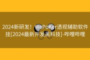 2024新研发！WePoKer透视辅助软件挂[2024最新开发黑科技]-哔哩哔哩