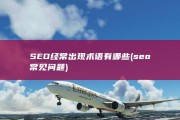 SEO经常出现术语有哪些 (seo常见问题)