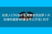 给家人们科普下玉海楼茶苑拔萝卜外挂辅助器脚本(确实可以开挂)-知乎