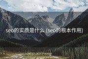 seo的实质是什么 (seo的根本作用)