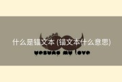 什么是锚文本 (锚文本什么意思)
