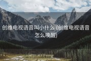 创维电视语音叫小什么 (创维电视语音怎么唤醒)