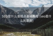 SEO是什么谁给点基础教程 (seo是什么的职务)