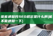 谁能通知我SEO规定是什么啊 (能不能通知一下)