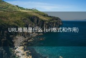 URL格局是什么 (url格式和作用)