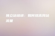 提高网站流量和品牌知名度 ``` `标签创作的一个长标题示例 ol 包括提升网站排名 li 分析搜索引擎优化SEO的优点 (提高网站流量的方法)