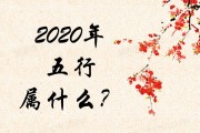 2020年属鼠是什么命五行属什么 (2020年属什么生肖)