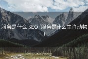 服务是什么 SEO (服务是什么生肖动物)