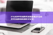 什么软件可以翻译多国言语 (什么软件可以借钱利息低又安全)