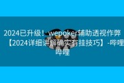 2024已升级！wepoker辅助透视作弊【2024详细讲解确实有挂技巧】-哔哩哔哩