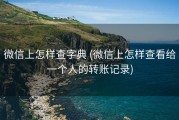 微信上怎样查字典 (微信上怎样查看给一个人的转账记录)