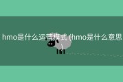 hmo是什么运营模式 (hmo是什么意思)