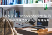 玩家发现挂！wepoekr透视软件挂-最新火爆2024款透视黑科技-哔哩哔哩