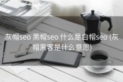 灰帽seo 黑帽seo 什么是白帽seo (灰帽黑客是什么意思)