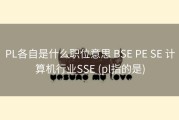 PL各自是什么职位意思 BSE PE SE 计算机行业SSE (pl指的是)
